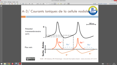 Capture d’écran (10).png
