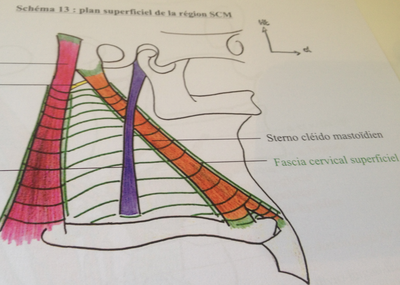 Capture d’écran 2015-04-20 à 12.16.24.png