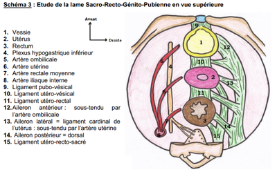 Capture d’écran 2015-04-22 à 21.20.21.png