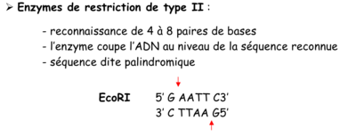Capture d’écran 2015-04-27 à 09.40.35.png