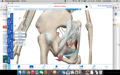 Capture d’écran 2015-04-27 à 12.36.02.png