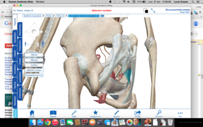 Capture d’écran 2015-04-27 à 12.36.06.png