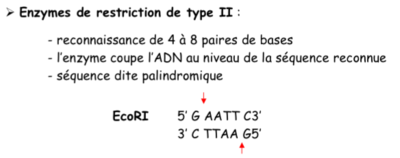 Capture d’écran 2015-04-27 à 16.53.50.png