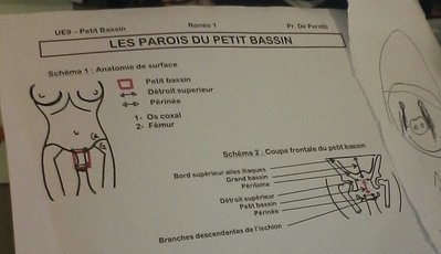 2015-04-27 21.57.14.jpg