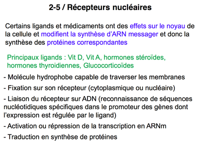 Capture d’écran 2015-04-28 à 00.17.11.png