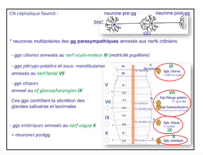 Capture d’écran 2015-04-28 à 22.10.12.png