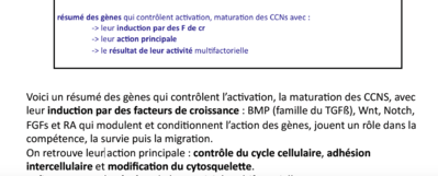 Capture d’écran 2015-04-28 à 22.12.47.png