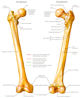 Capture d’écran 2015-04-30 à 11.17.07.png