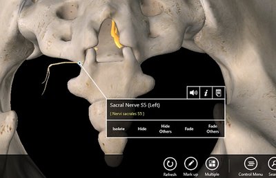 vue posérieur de mon cul éviscéré.jpg