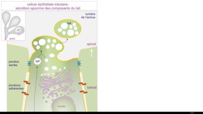 Capture d’écran (92).png