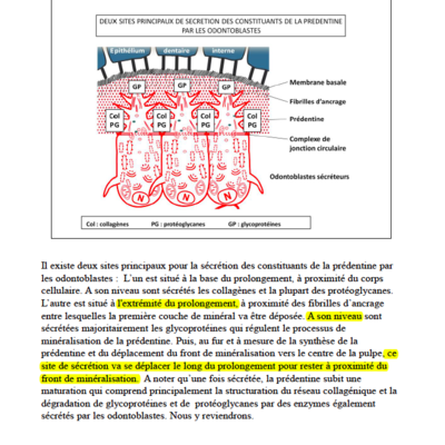 Capture d’écran 2015-05-02 à 16.27.10.png