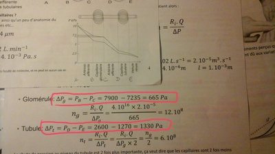 2015-05-03 22.39.01.jpg