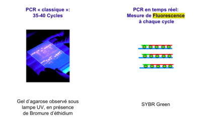 Capture d’écran 2015-05-04 à 16.11.53.png