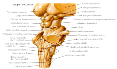 Capture d’écran 2015-05-05 à 17.58.50.png