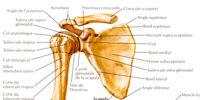 Capture d’écran 2015-05-06 à 10.10.15.png