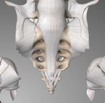 Capture d’écran 2015-05-07 à 00.33.56.png