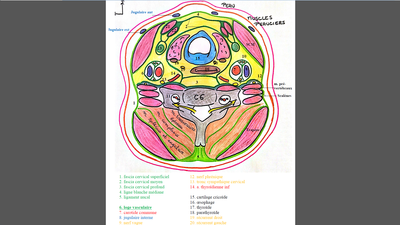 Capture d'écran 2015-05-07 11.37.27.png