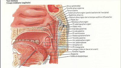 Capture d'écran 2015-05-07 18.35.25.png