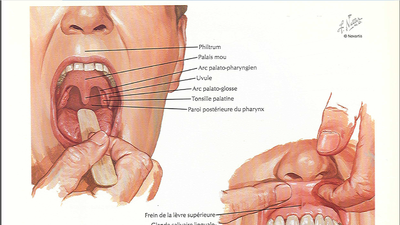 Capture d'écran 2015-05-07 18.33.36.png