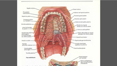 Capture d'écran 2015-05-07 18.34.39.png