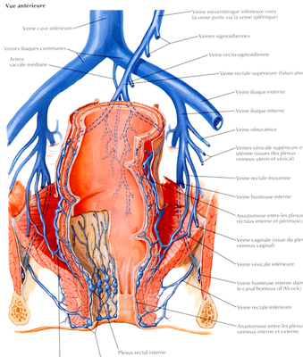 Capture d’écran 2015-05-08 à 09.29.14.png
