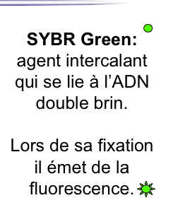 Capture d’écran 2015-05-08 à 15.32.30.png
