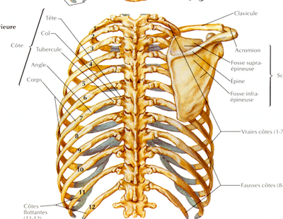 Capture d’écran 2015-05-10 à 09.04.16.png