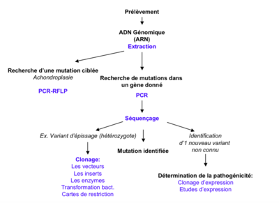 Capture d’écran 2015-05-10 à 17.40.47.png
