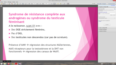 Capture d’écran (12).png