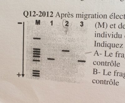 image expérience UE11.jpg