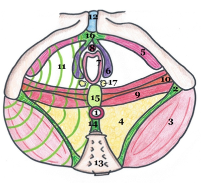 Capture d’écran 2015-05-12 à 15.38.23.png
