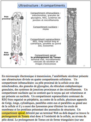 Capture d’écran 2015-05-13 à 22.52.40.png