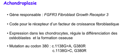 Capture d’écran 2015-05-14 à 13.57.11.png
