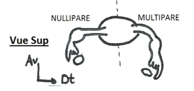 Capture d’écran 2015-05-14 à 16.40.18.png