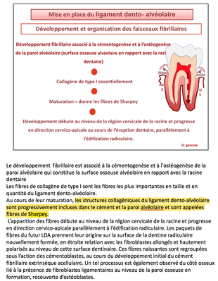 Capture d’écran 2015-05-14 à 16.45.30.png