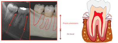 Capture d’écran 2015-05-14 à 16.46.00.png