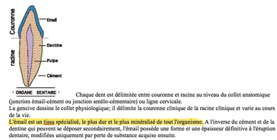 Capture d’écran 2015-05-14 à 22.06.06.png