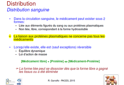 Garraffo liaison aux protéines.png