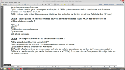 Capture d’écran (13).png