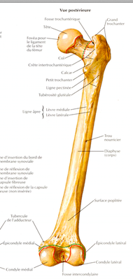 Capture d’écran 2015-05-17 à 11.06.21.png