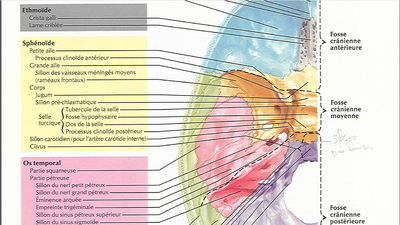 Vue endo du trou optique.png