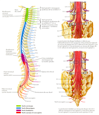 Capture d’écran 2015-05-18 à 14.08.04.png