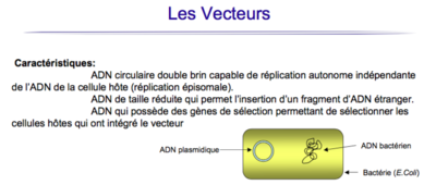 Capture d’écran 2015-05-20 à 12.45.32.png