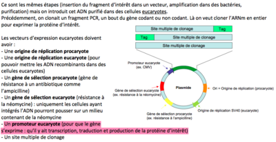 Capture d’écran 2015-05-20 à 12.50.32.png