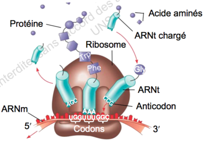 Capture d’écran 2015-08-02 à 15.07.49.png
