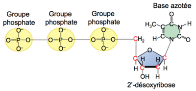 Capture d’écran 2015-08-09 à 21.03.29.png