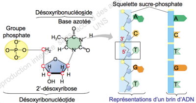 Capture d’écran 2015-08-09 à 21.20.43.png