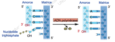 Capture d’écran 2015-08-09 à 20.42.22.png