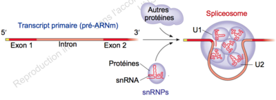 Capture d’écran 2015-08-09 à 22.03.15.png