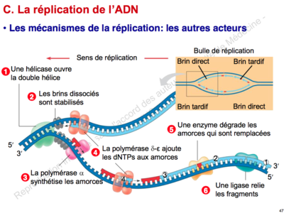 Capture d’écran 2015-08-18 à 23.06.40.png